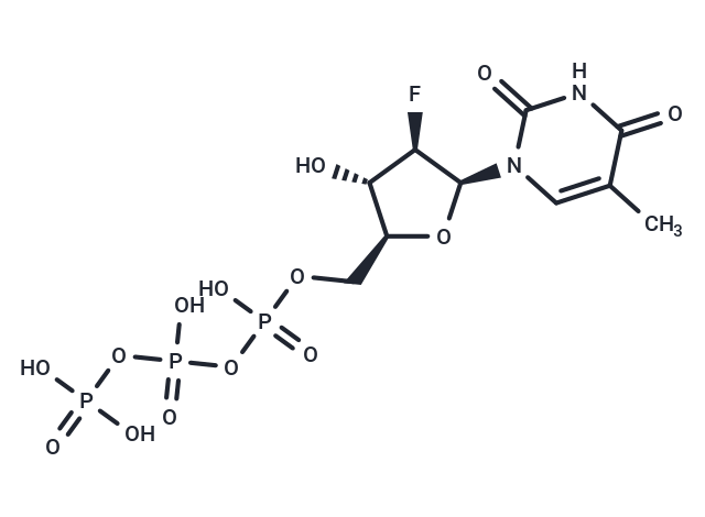 Clevudine triphosphate