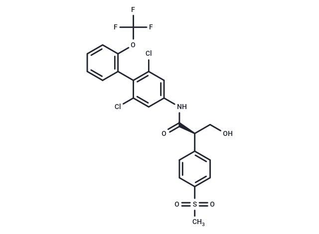 RORγt inverse agonist 28