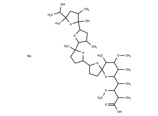 Kijimicin Na