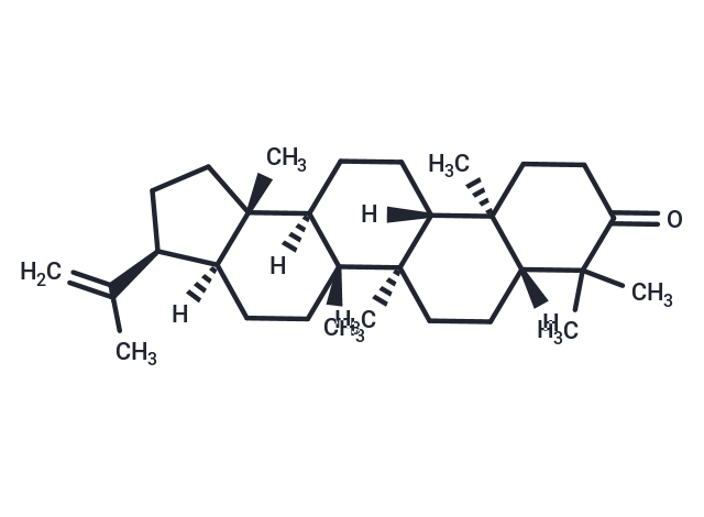 3-Oxo-hop-22(29)-ene