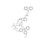 5’-O-DMTr-N6-Fmoc-dA-phosphoramidite