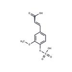 Ferulic acid 4-O-sulfate