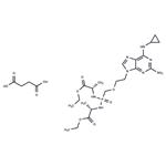 Rabacfosadine succinate