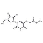 Uridine ? 5-oxyacetic acid methyl ester