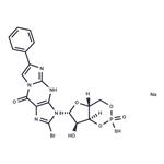 Rp-8-Br-PET-cGMPS