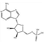 Adenosine 5'-monophosphate pictures