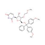 5’-O-(4,4’-Dimethoxytrityl)-3’-O-(2-methoxyethyl) uridine