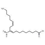 10-Nitrolinoleic acid