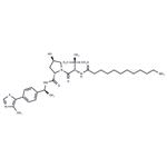 (S,R,S)-AHPC-Me-C10-NH2