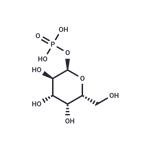 Galactose 1-phosphate pictures