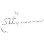 1-Stearoyl-2-docosahexaenoyl-sn-glycero-3-PC