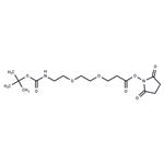 Boc-NH-PEG2-C2-NHS ester