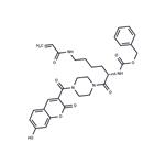 VA5 TG2 inhibitor