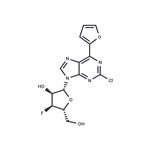 2-Chloro-6-(furan-2-yl)purine-beta-D-(3’-deoxy-3’-fluoro)riboside