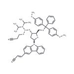 3-Cyanovinylcarbazole phosphoramidite