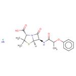 Phenethicillin potassium