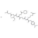 Suc-Ile-Glu(γ-pip)-Gly-Arg-pNA hydrochloride