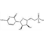 Cytidine 5'-monophosphate