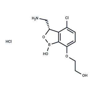 Ganfeborole HCl