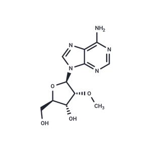 2'-O-Methyladenosine