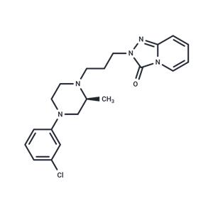 α1 adrenoceptor-MO-1