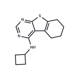 Dopamine D2 receptor antagonist-1