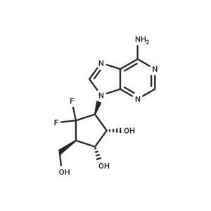 6-fluorinated-aristeromycin2c