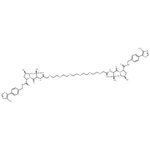 Homo-PROTAC pVHL30 degrader 1