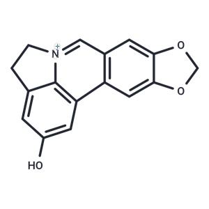 Lycobetaine