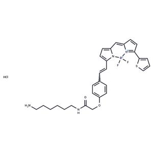 BDP 630/650 amine