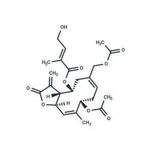 Eupalinolide A