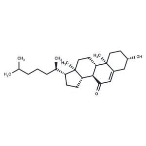 7-Ketocholesterol