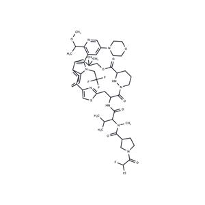 KRAS G12C inhibitor 58