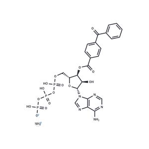 BzATP triethylammonium salt