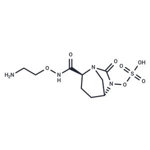 Nacubactam