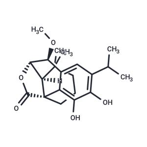 7-Methoxyrosmanol