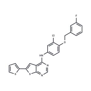 EGFR/ErbB-2 inhibitor-1