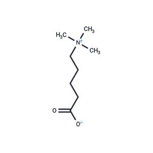 delta-Valerobetaine