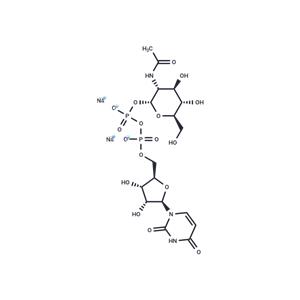 UDP-GlcNAc Disodium Salt