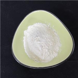 2-METHYL-2-PROPENE-1-SULFONIC ACID SODIUM SALT