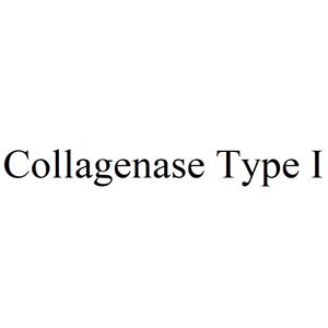 Collagenase Type I