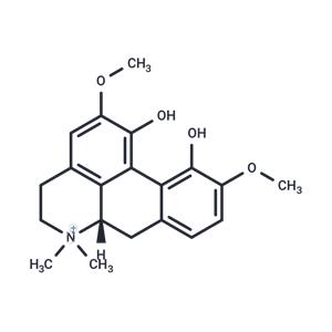 (+)-Magnoflorine