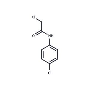 2,4′-Dichloroacetanilide