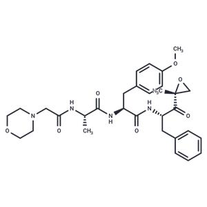 ONX-0914