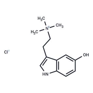 Bufotenidine hydrochloride(487-91-2 Free base)