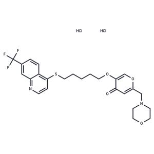 EHT 1864