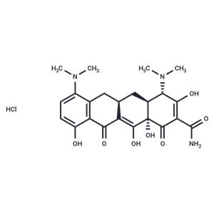 Minocycline hydrochloride