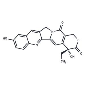 9-Hydroxycamptothecin