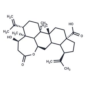 Chiisanogenin