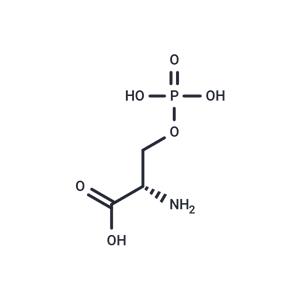 O-Phospho-L-serine